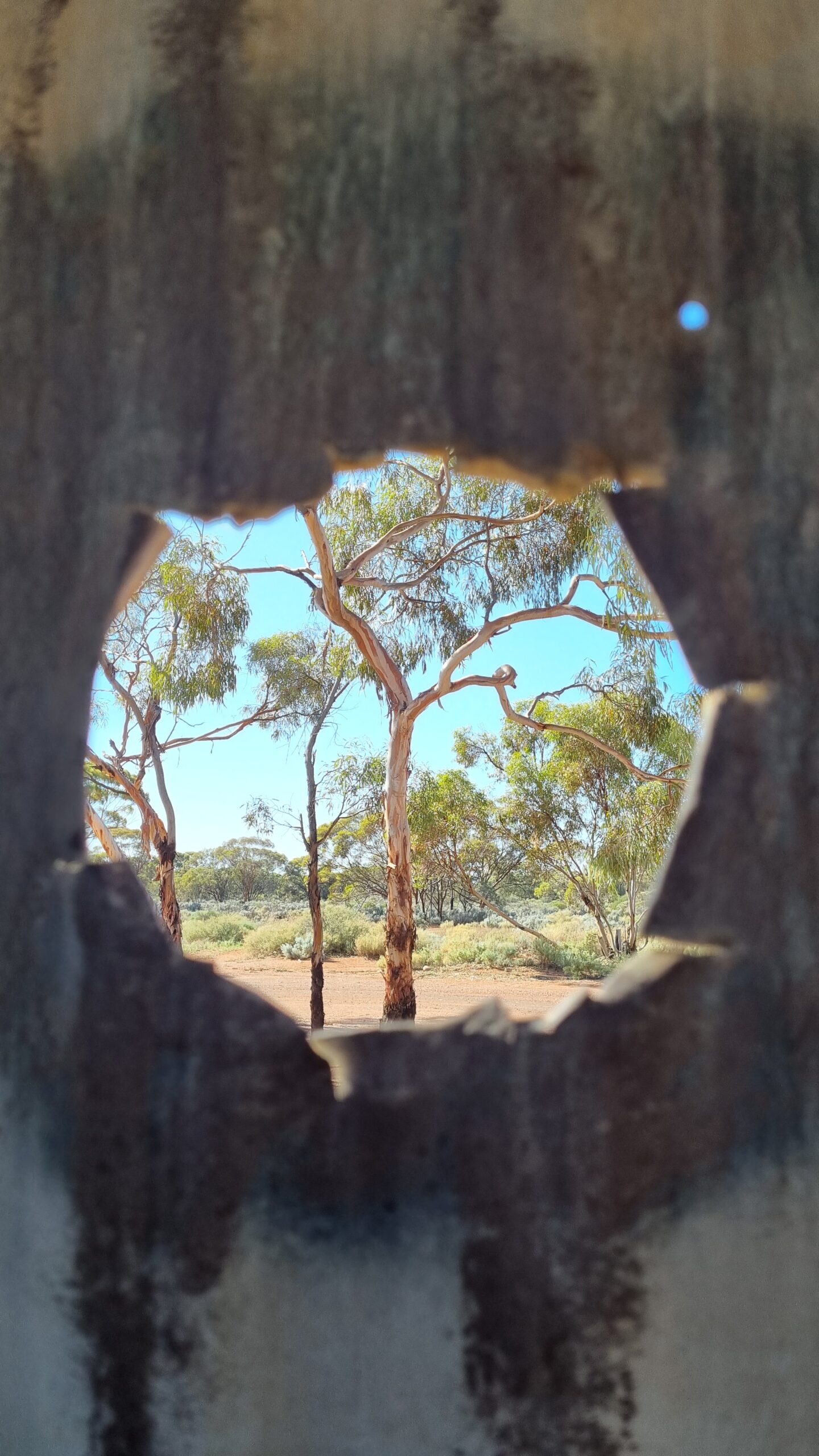 Discover the Best of the Goldfields Tours
