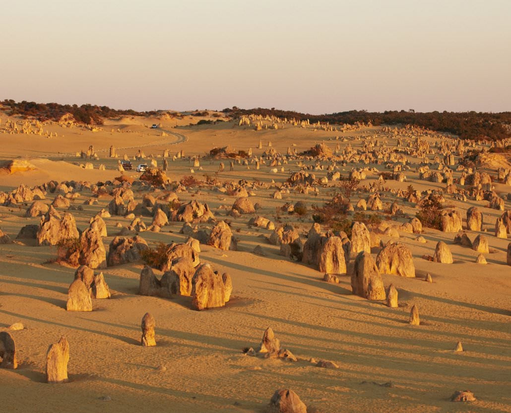 Pinnacles Tour -Cruise Ship Edition-