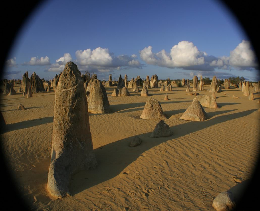 Pinnacles Tour -Cruise Ship Edition-