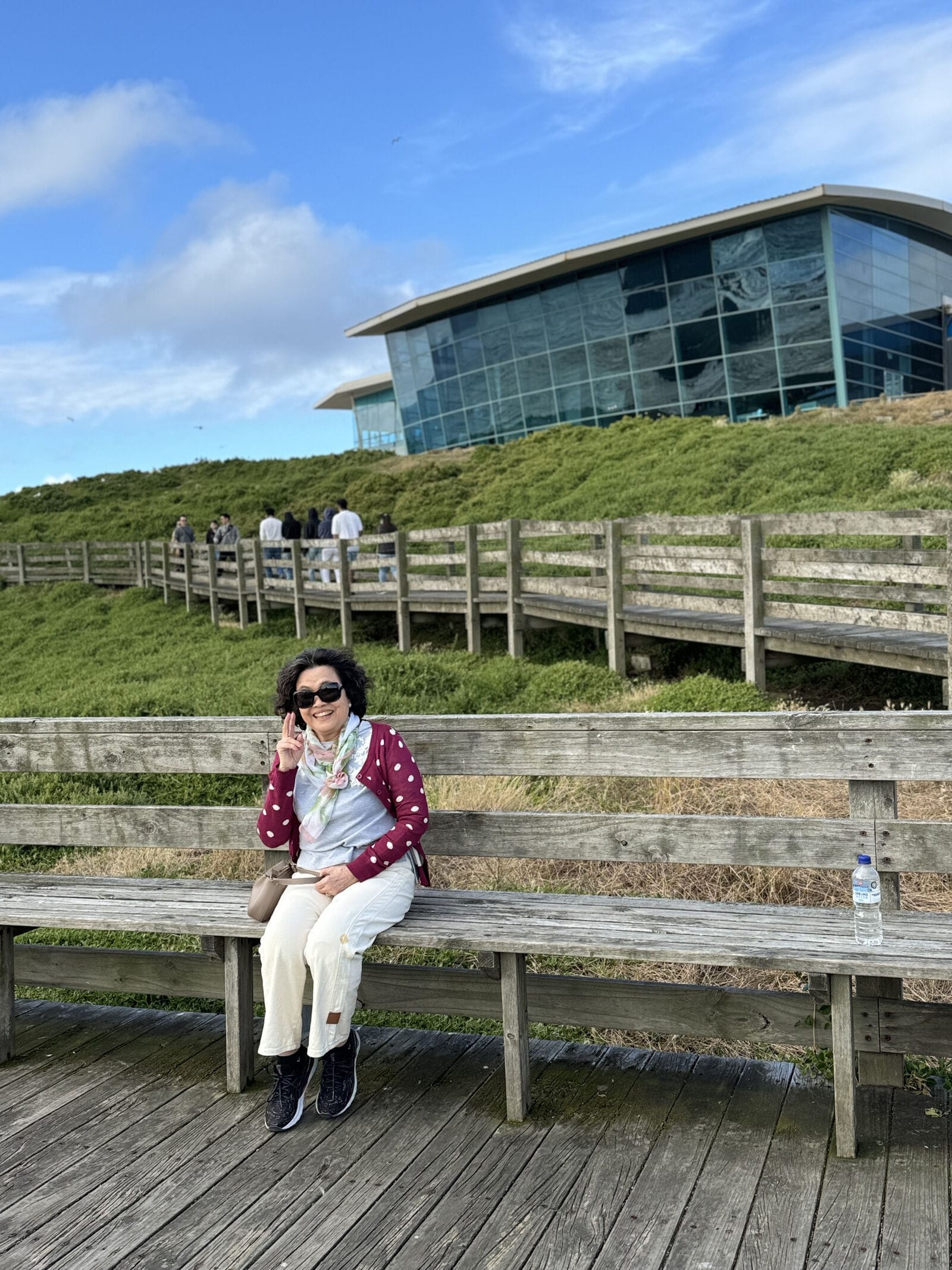 Small Bus Private Phillip Island Penguin Parade Tours (up to 13 pax)