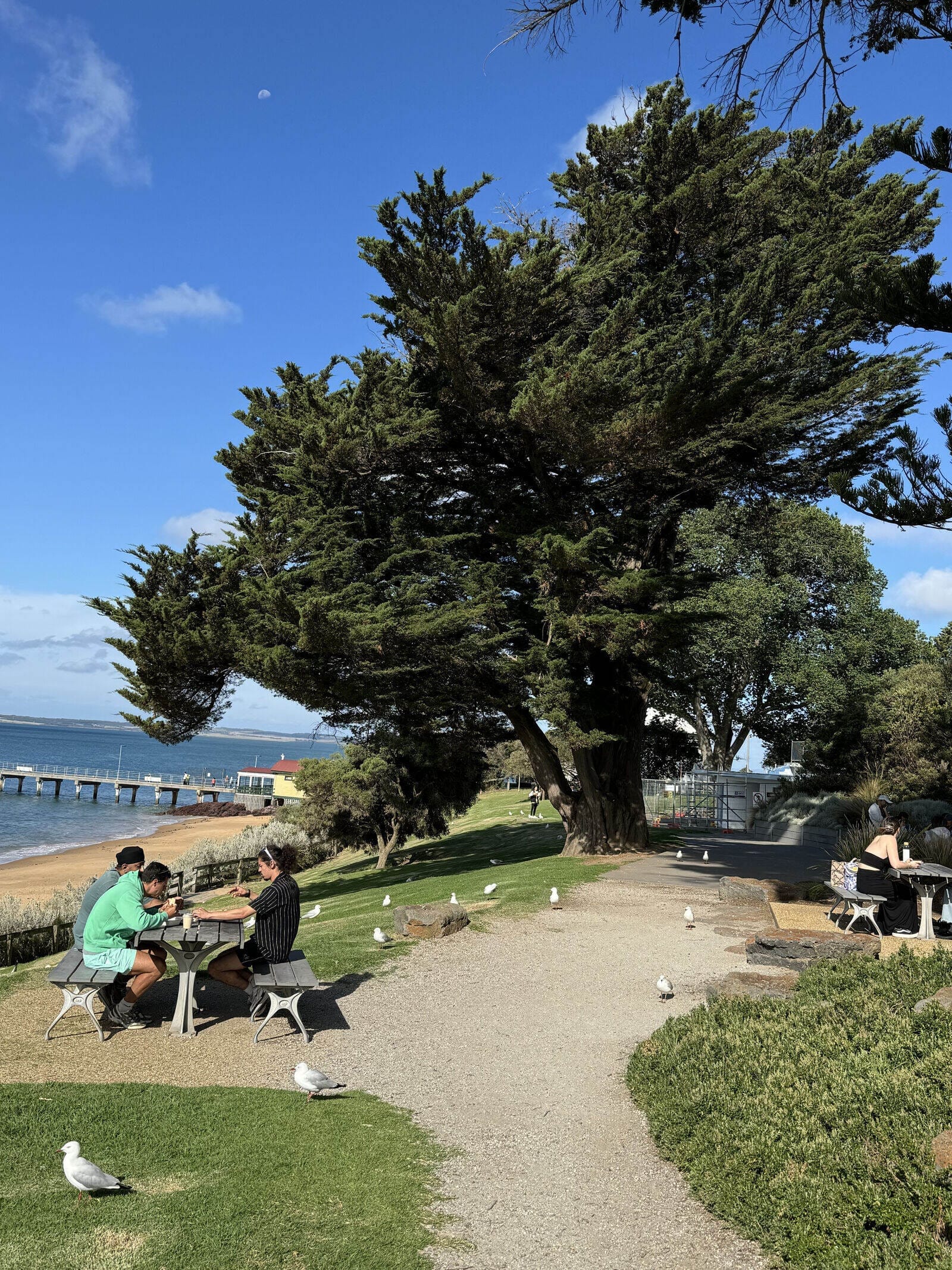 Small Bus Private Phillip Island Penguin Parade Tours (up to 13 pax)