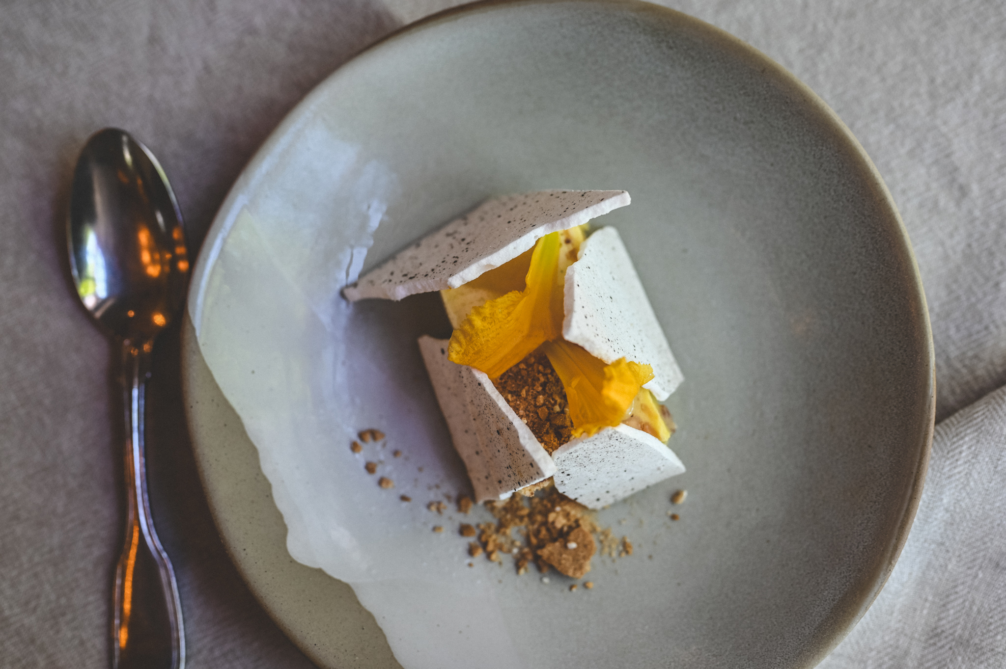 Discover Voyager and Seasonal Lunch Experience