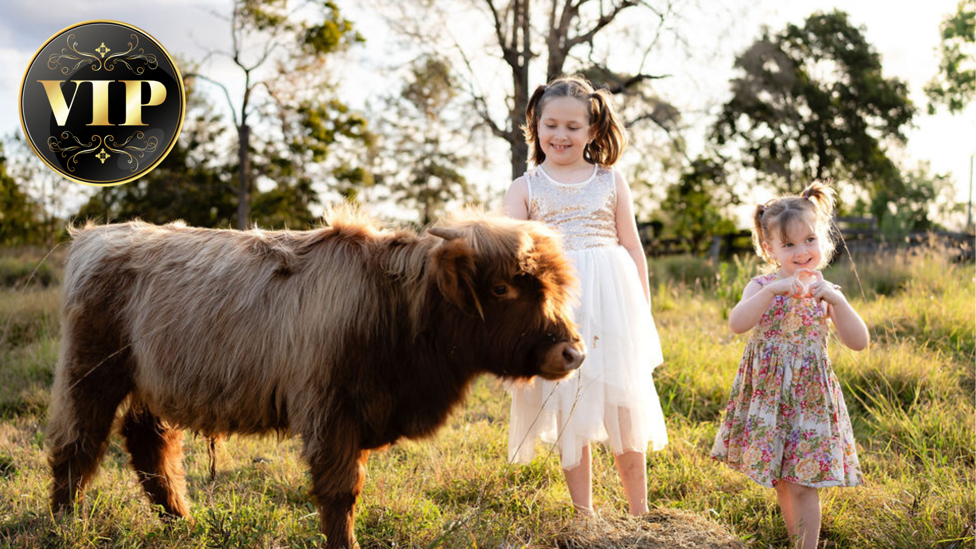 Platinum Highland Farm Experience with Lunch