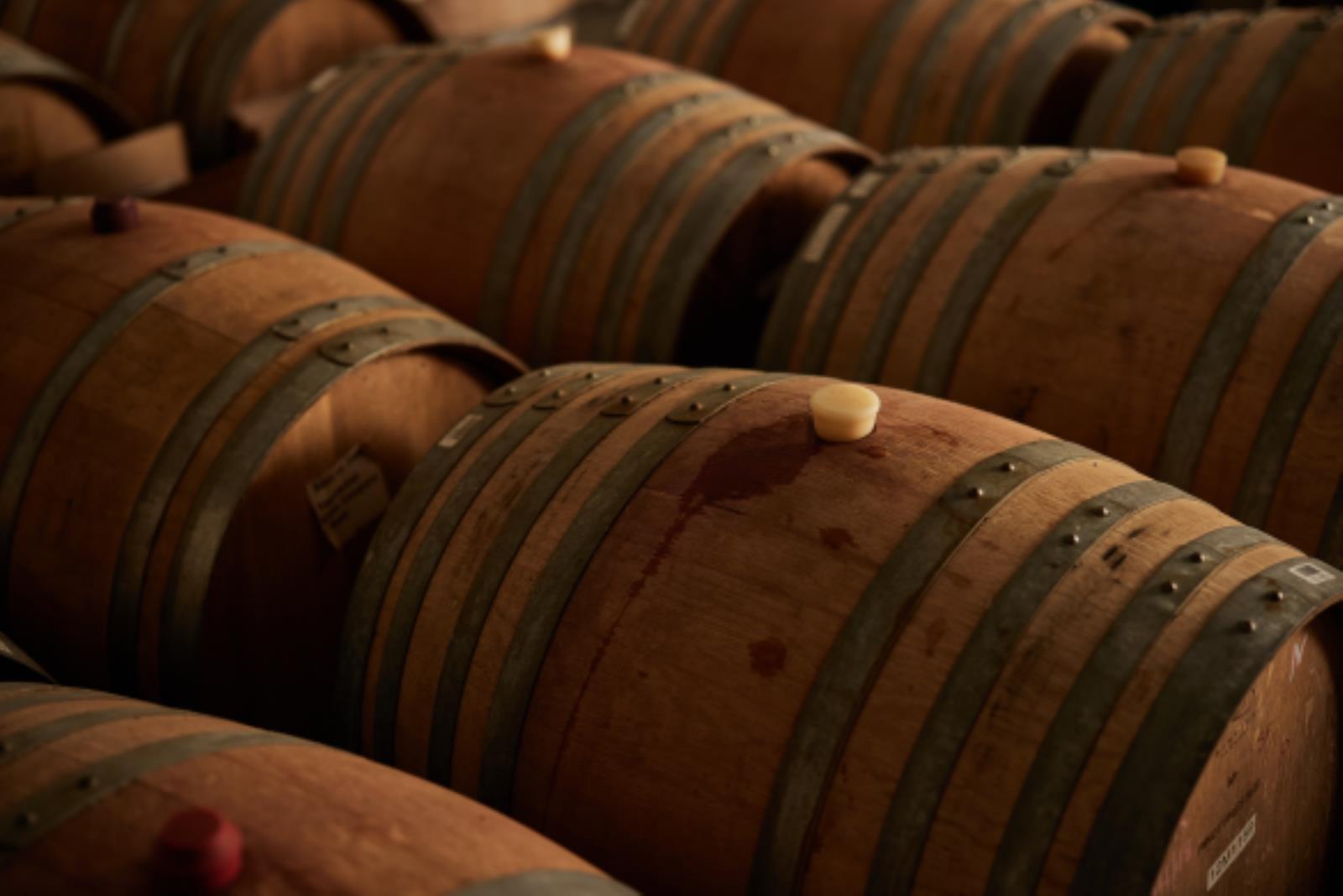 A glow of wine and a blanket of chocolate