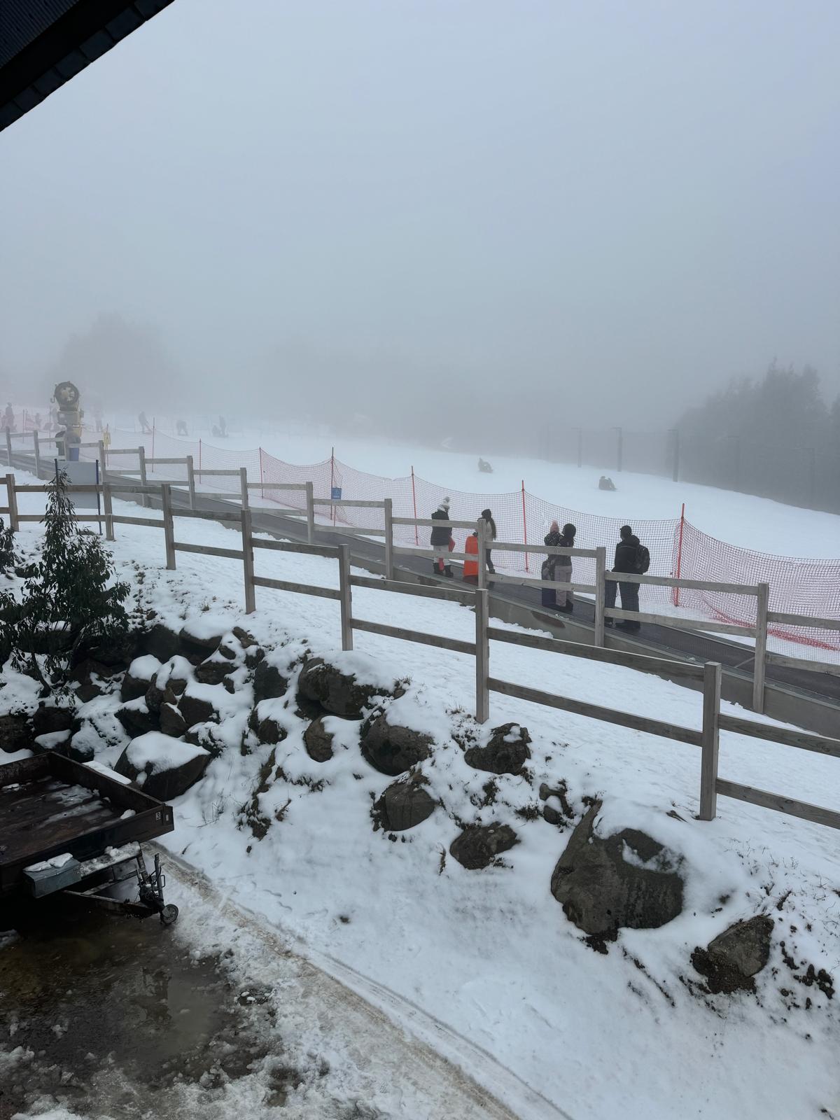 GYG Small Bus Private Lake Mountain Snow & Redwood Forest Tours (up to 13 pax)