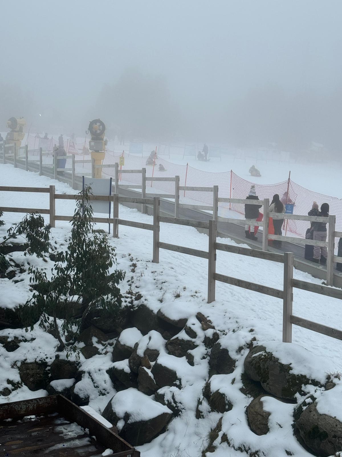 GYG Big Bus Private Lake Mountain Snow & Redwood Forest Tours (up to 21 pax)