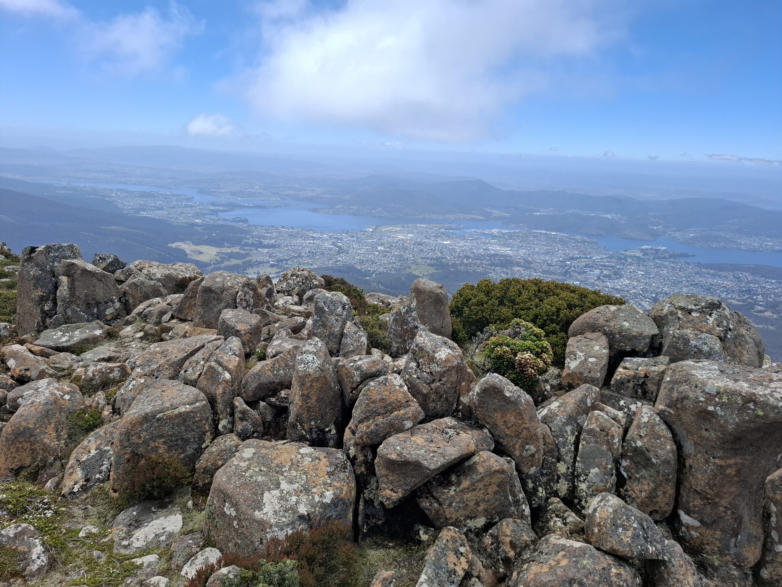 Tasmanian Wildlife & Mountain Shore Excursion