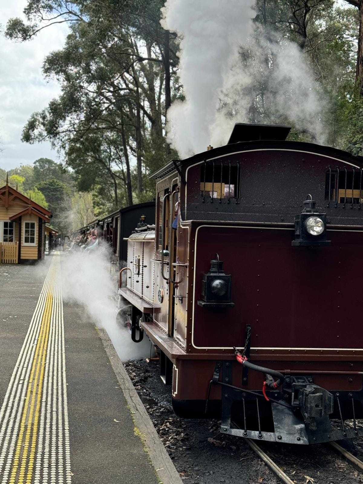 Small Bus Private Puffing Billy and Phillip Island Tours (up to 13 pax)