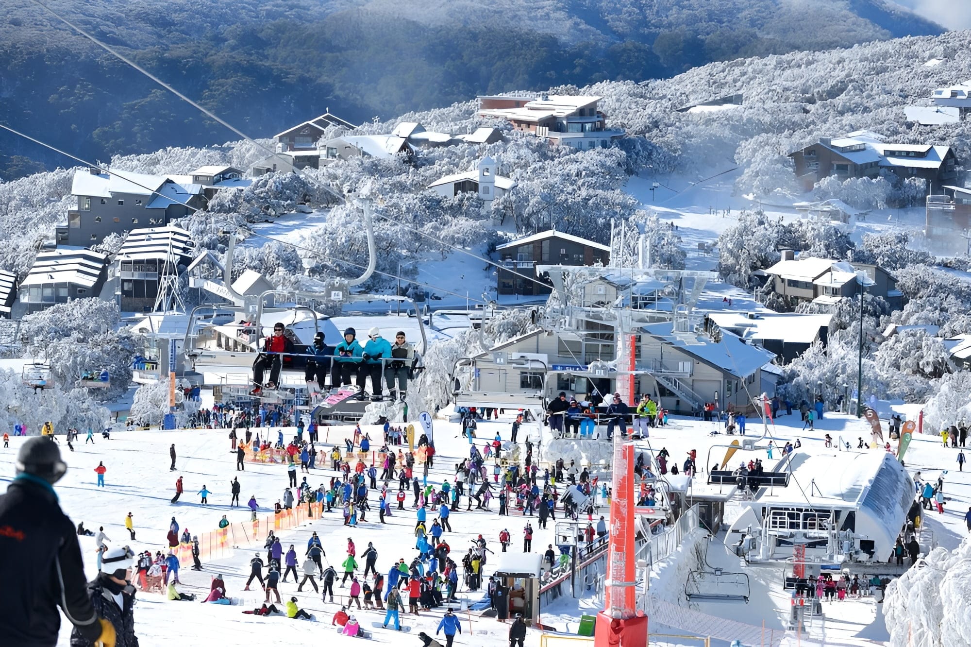 Small Bus Private Mount Buller Snow & Ski Tour (up to 13 pax)