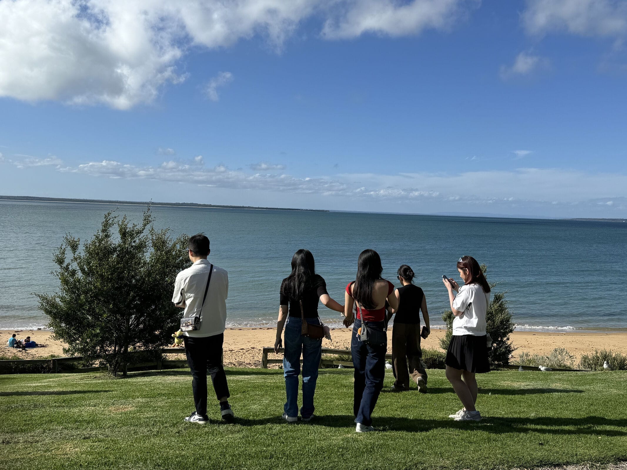 Small Bus Private Phillip Island Penguin Parade Tours (up to 13 pax)