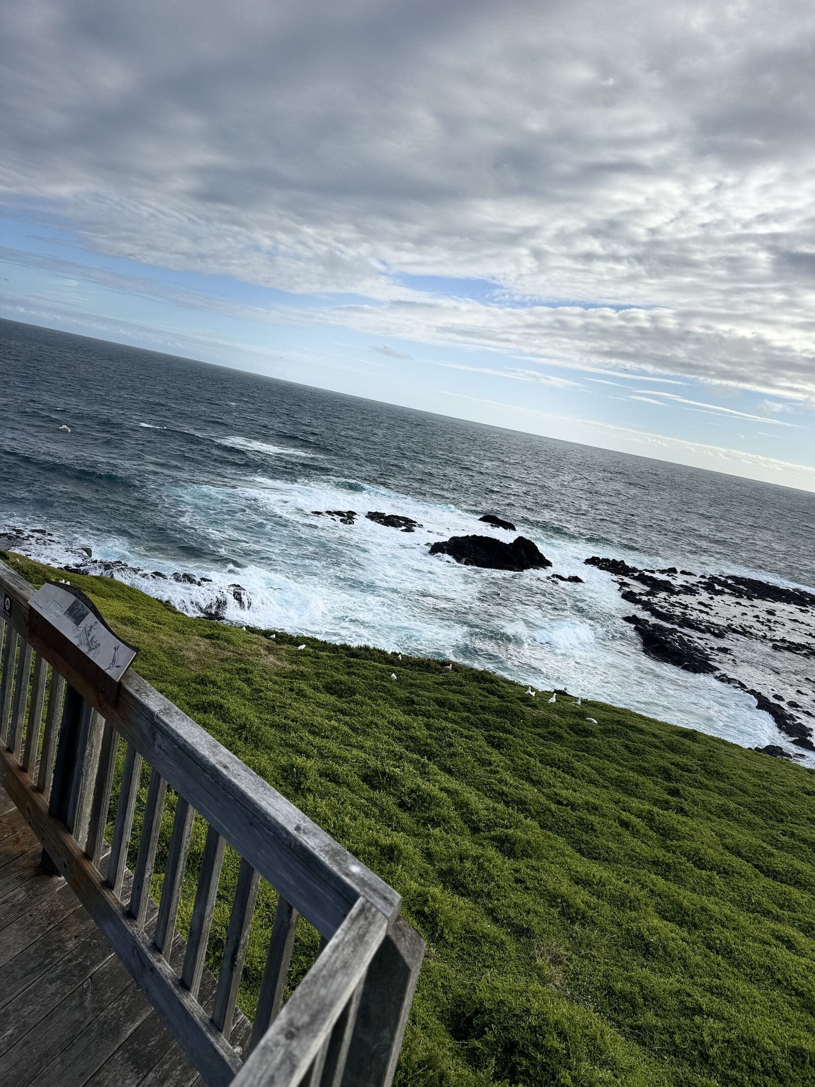 Small Bus Private Phillip Island Penguin Parade Tours (up to 13 pax)