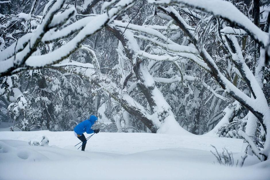 Small Bus Private Mount Buller Snow & Ski Tour (up to 13 pax)