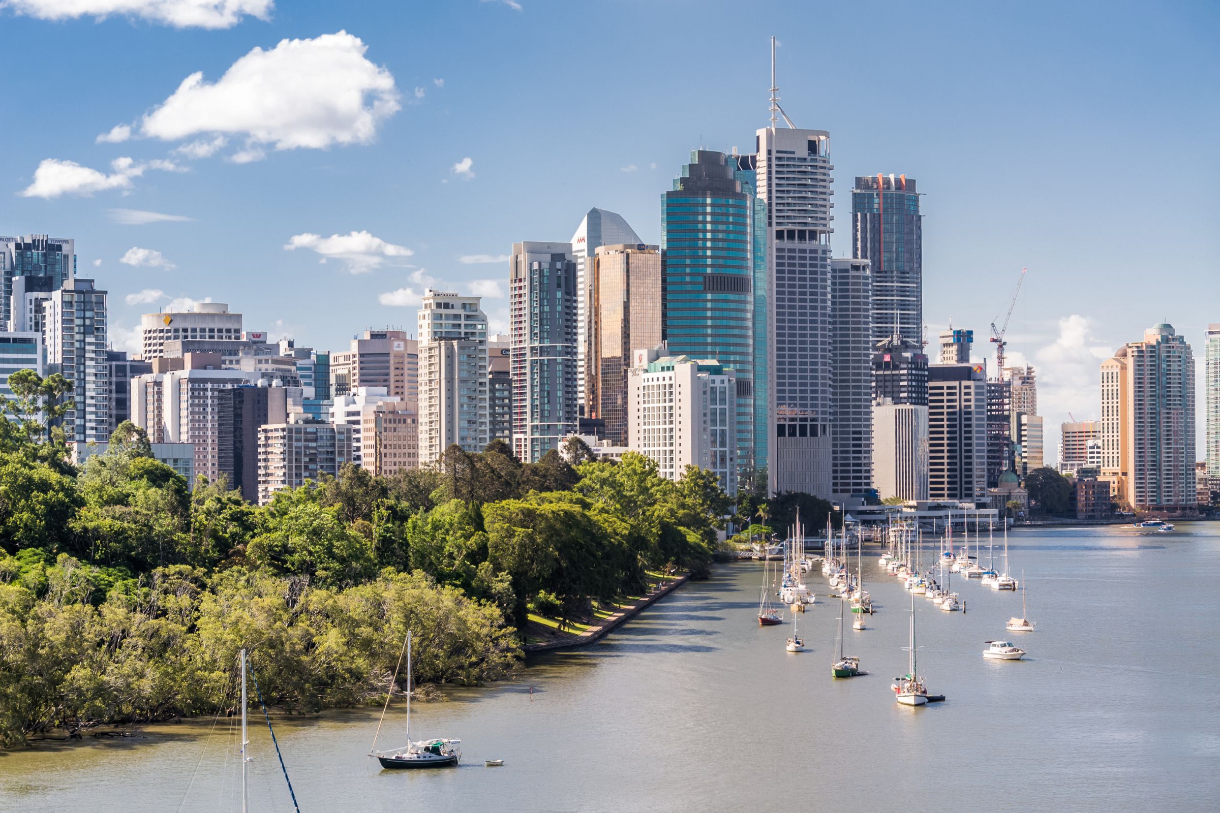 Hop on Hop off Bus - Single Trip Brisbane City Loop + Unlimited Pass around around Tamborine Mountain