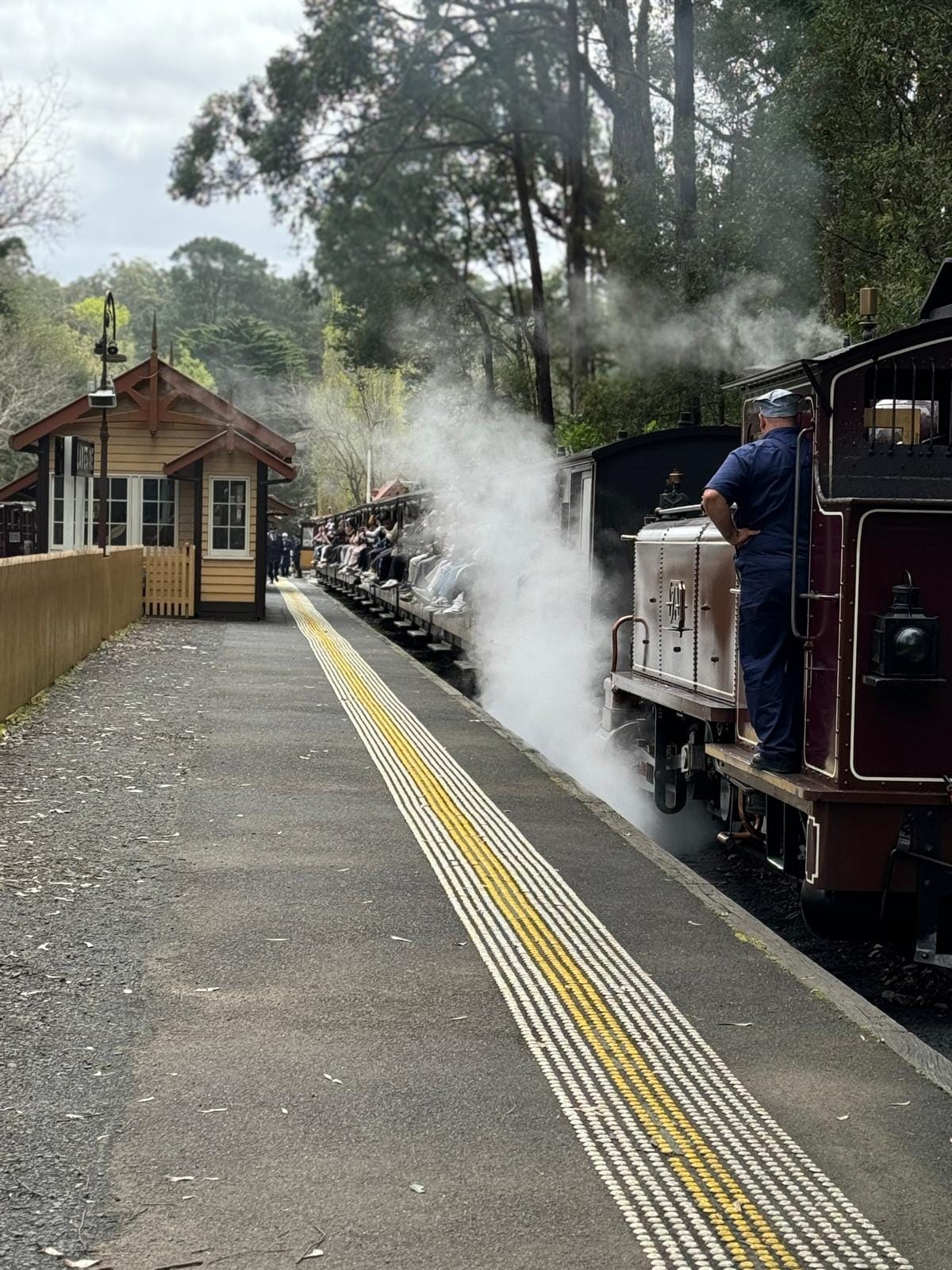 Small Bus Private Puffing Billy and Phillip Island Tours (up to 13 pax)