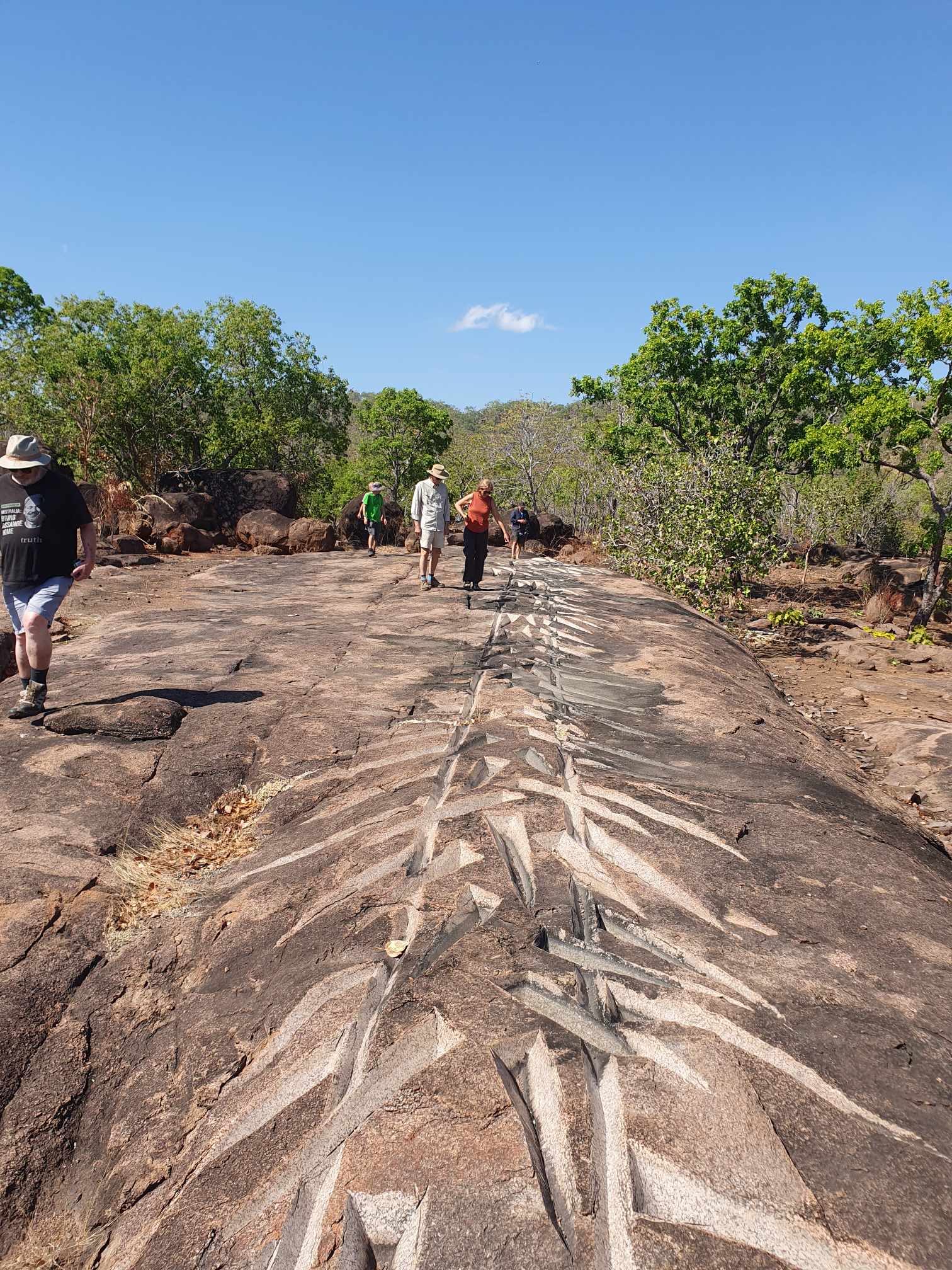 Kakadu National Park Day Tour
