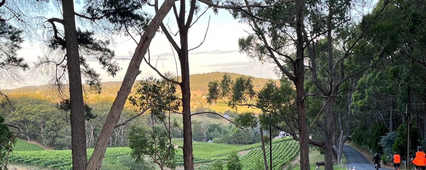 Half-Day Adelaide Hills e-Bike Hire from Uraidla Hotel & Republic Bakery