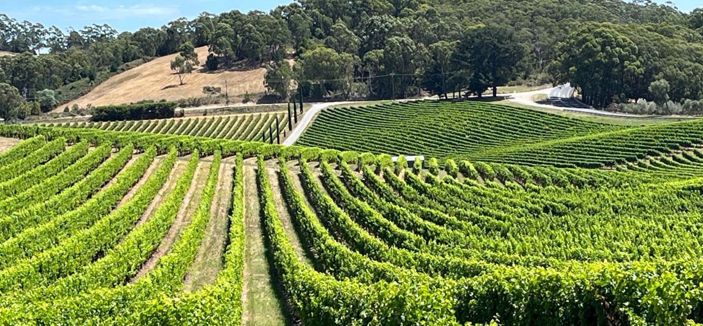 Half-Day Adelaide Hills e-Bike Hire from Uraidla Hotel & Republic Bakery