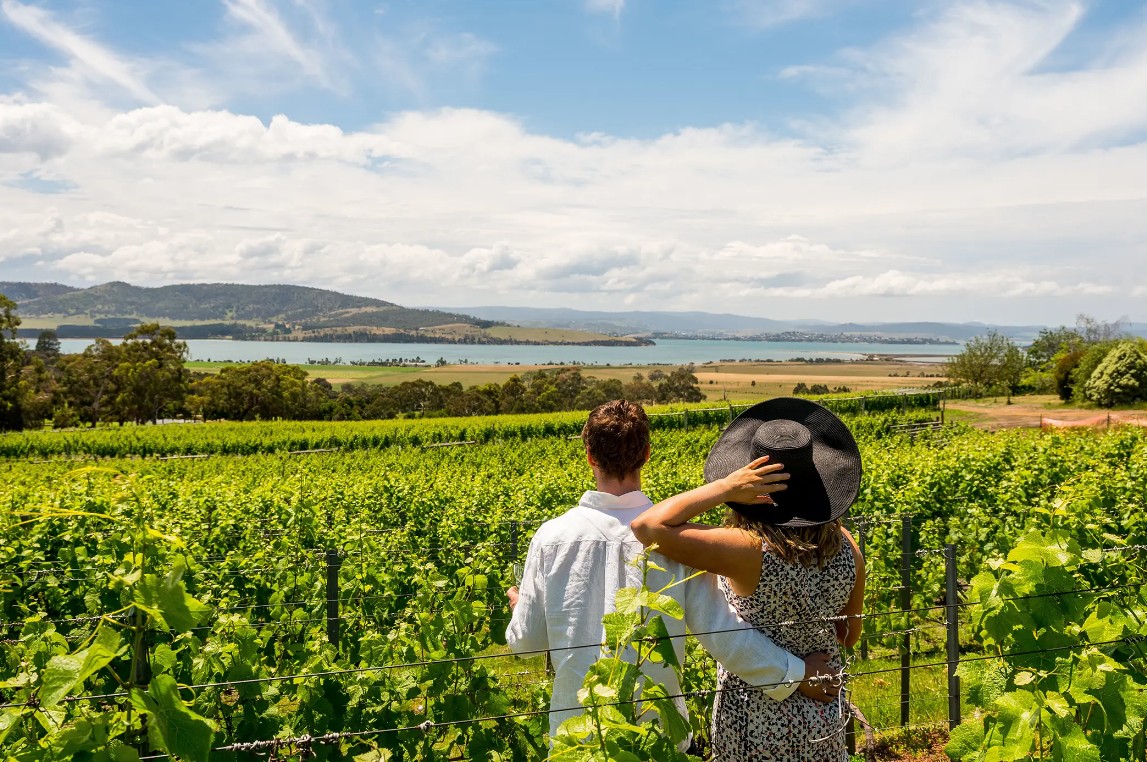 Signature Wine Tour (Saturdays)