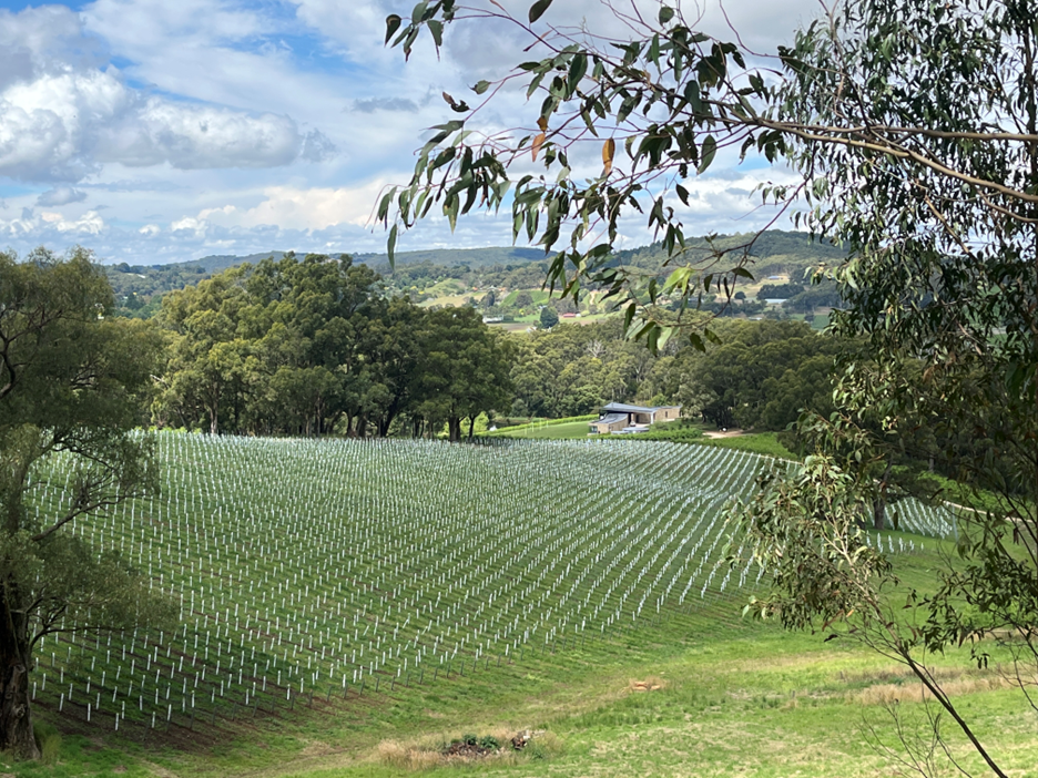 Adelaide Hills Village to Village e-Bike Leisurely Guided Tour