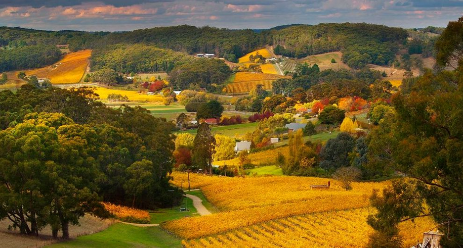 Adelaide Hills Nature Highlights e-Bike Guided Tour with ‘Big Dig’ lunch