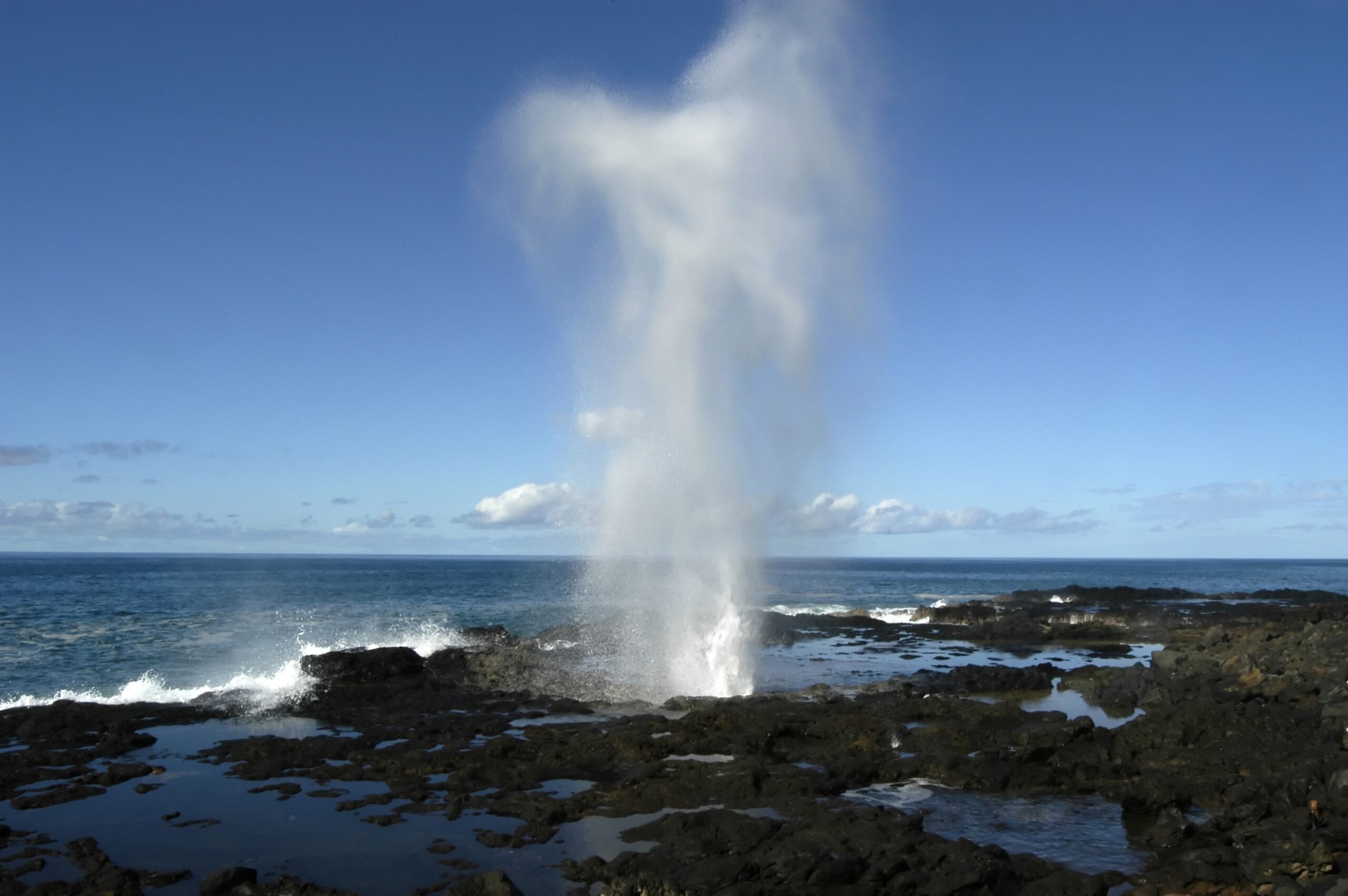 Private Sydney South Coast and Kiama Full day tour