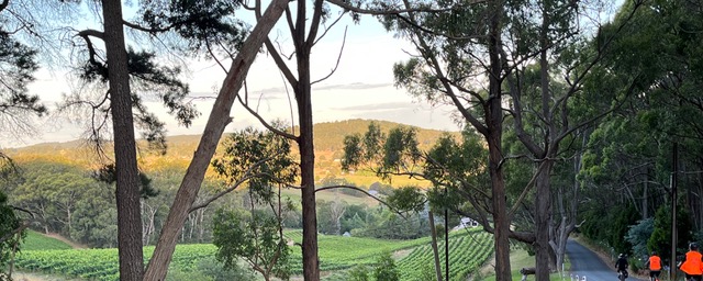 Full-Day Adelaide Hills e-Bike Hire from Uraidla Hotel & Republic Bakery