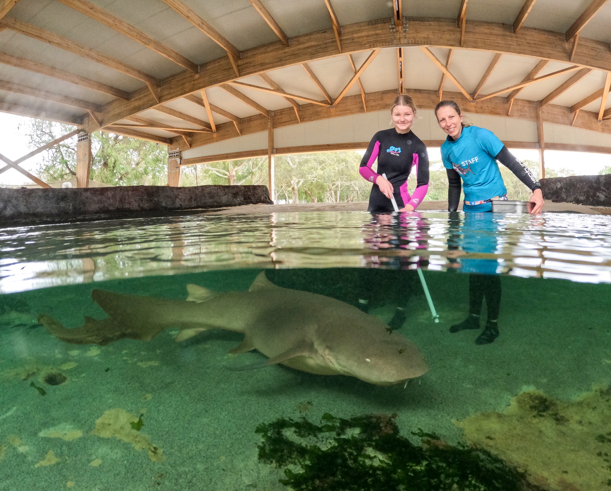 The Winter Elasmo Special $110 Packaged with Entry Pass (ages 12+)