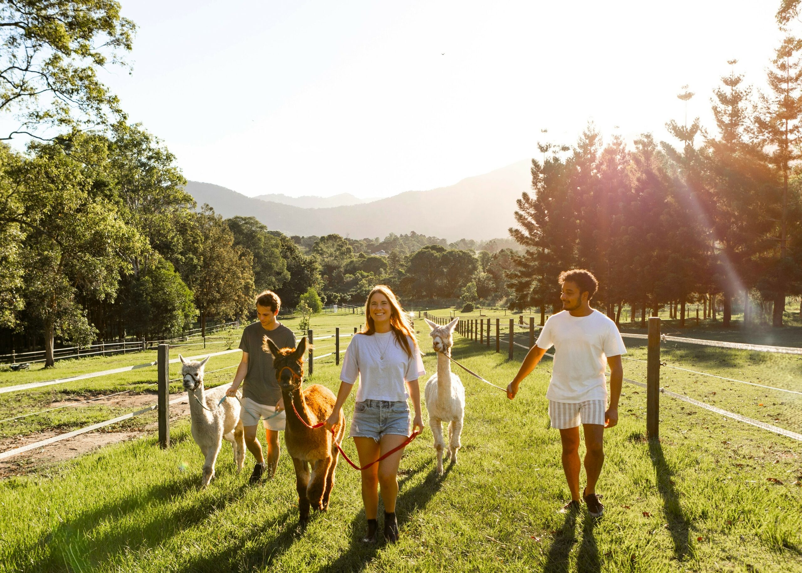 2hr Private Animal Tour (incl. horse rides)