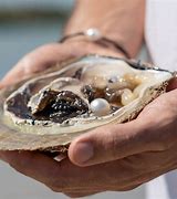 Treasures of Broome | Pearlmasters Choice Tour