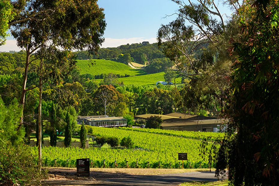 Adelaide Hills Priceless Piccadilly Valley Self-Guided e-Bike Winery Tour