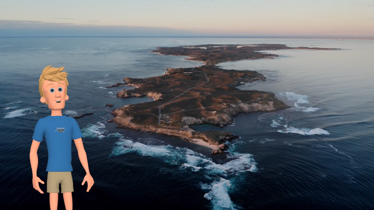 » Perth to Rottnest AND RETURN, up to 6 passengers.
