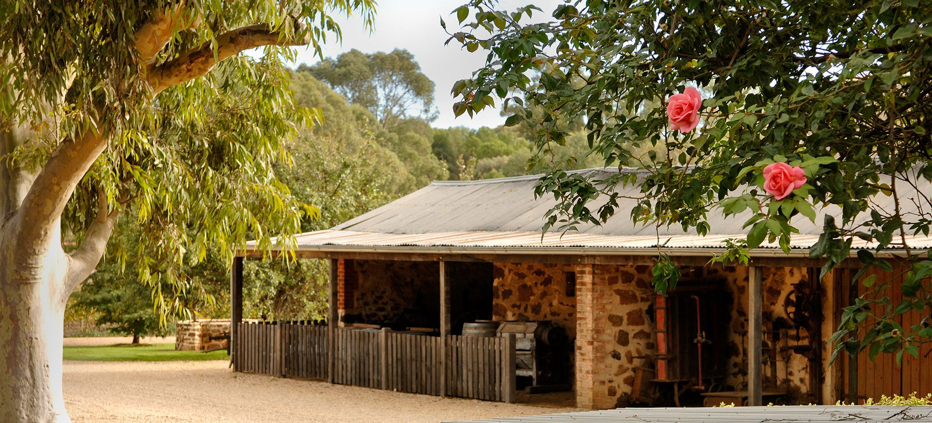 Best of Barossa
