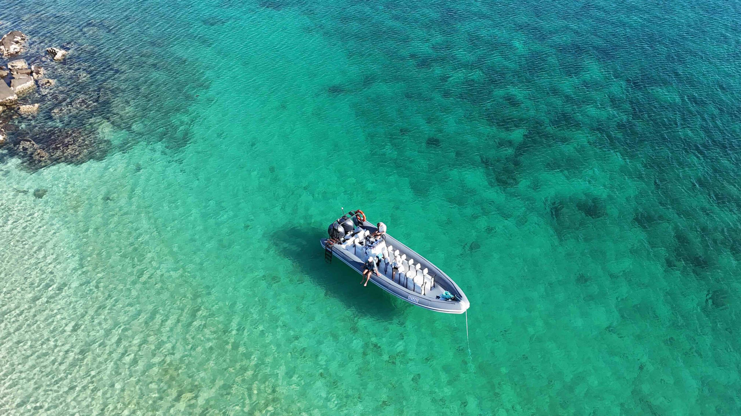 Archipelago Wildlife & Island Tour