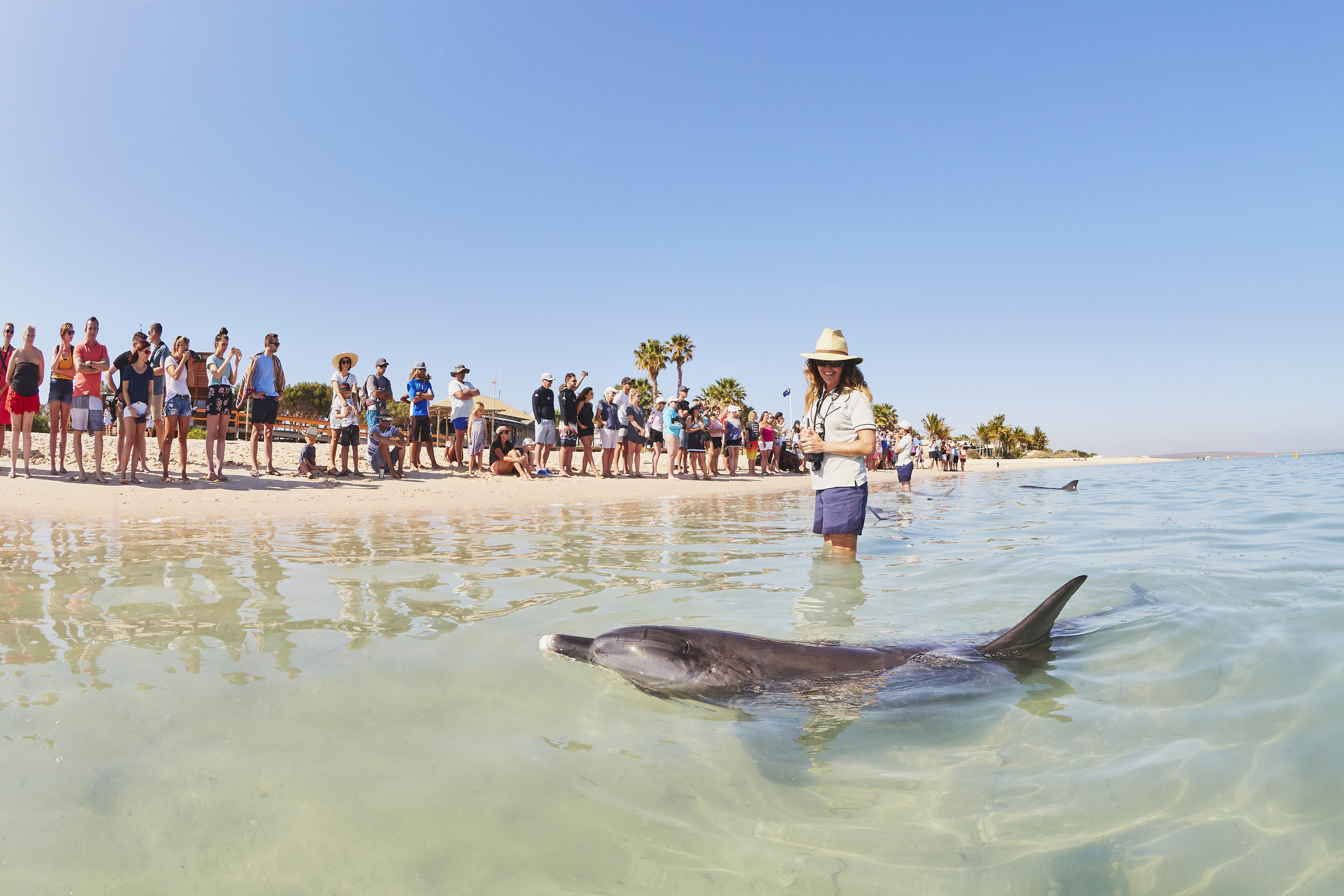 Pinnacles, Kalbarri, Monkey Mia, Shark Bay Four Day Tour