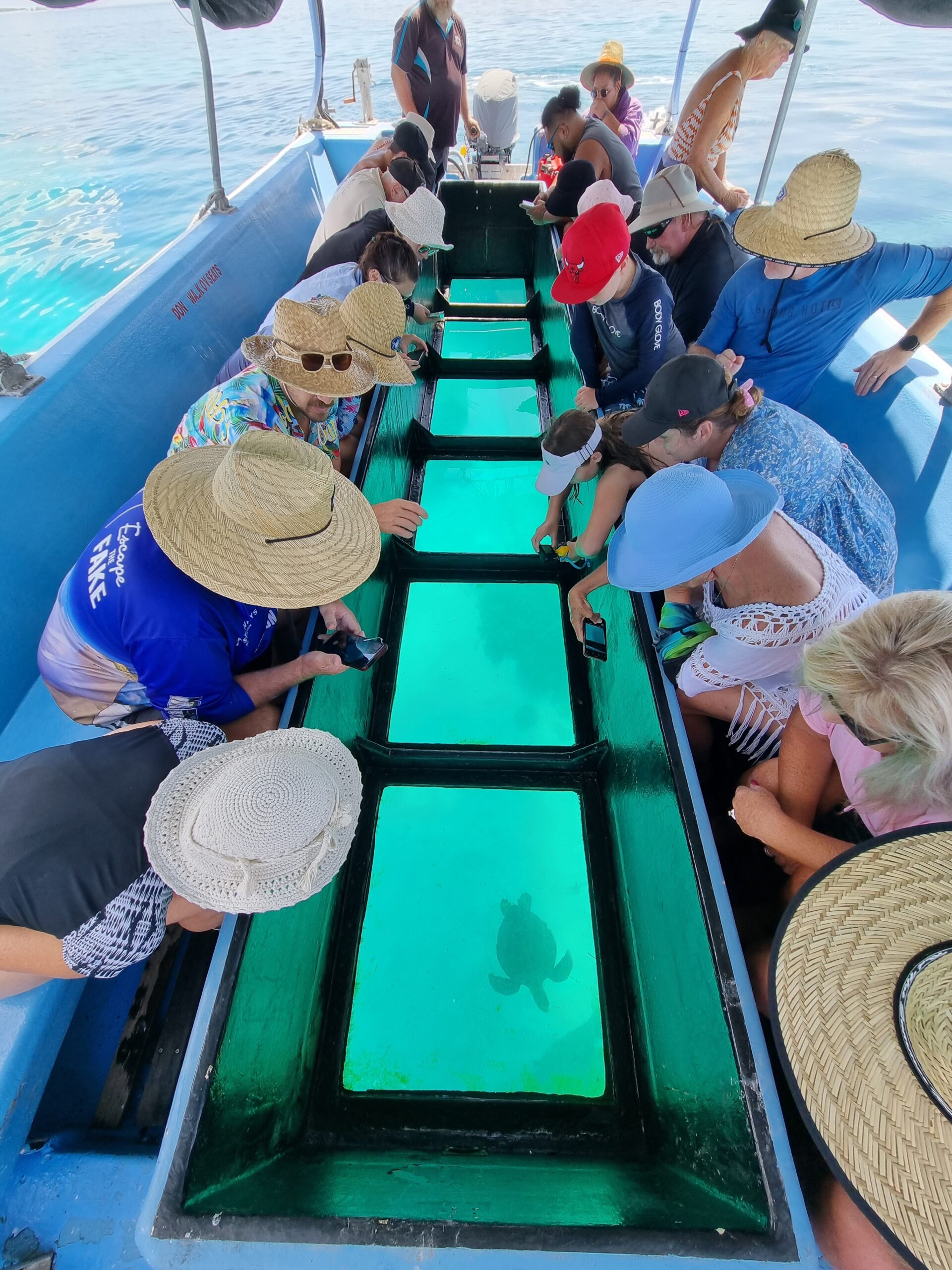 Day Tour to Lady Musgrave Island - (26/27)