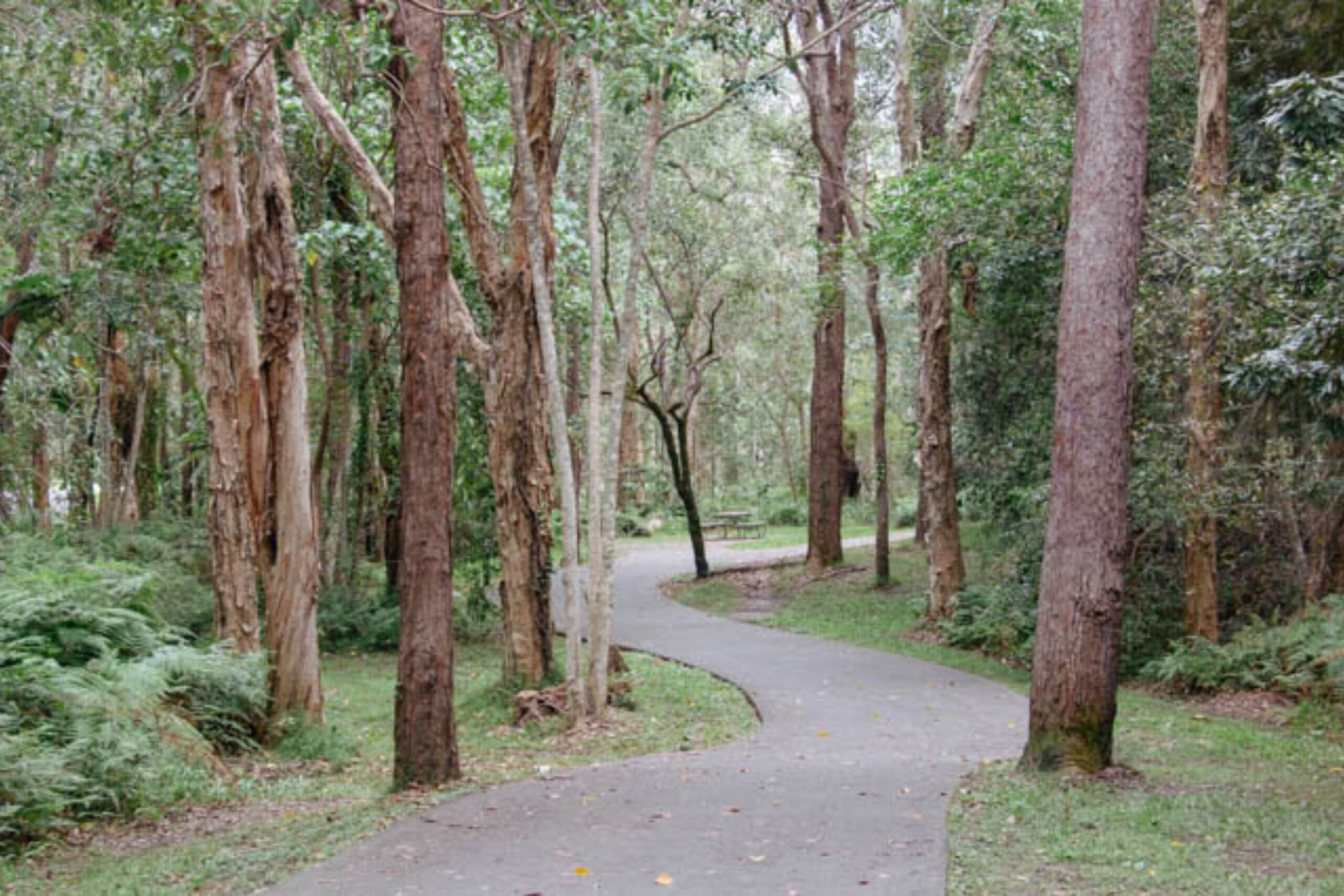 Noosa E-Bike Tour - Mt Tinbeerwah to Noosa