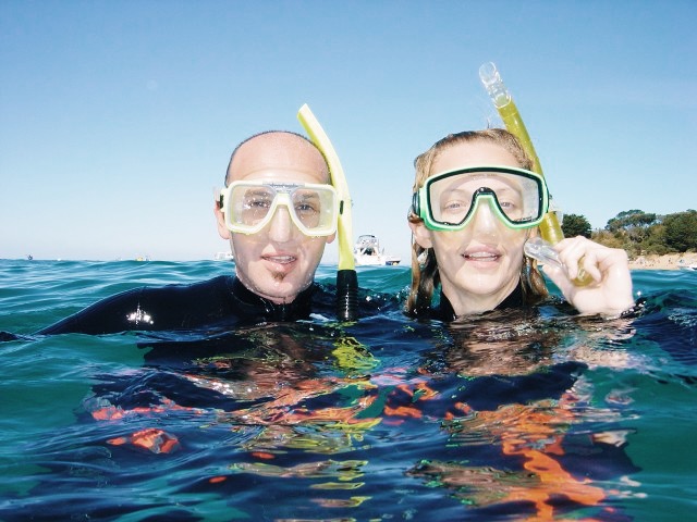Snorkel with Sea Dragons