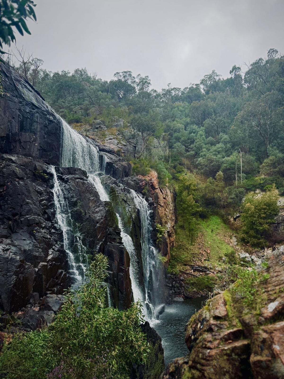 Klook – Big Bus Private Grampians National Park Day Tours (up to 21 pax)