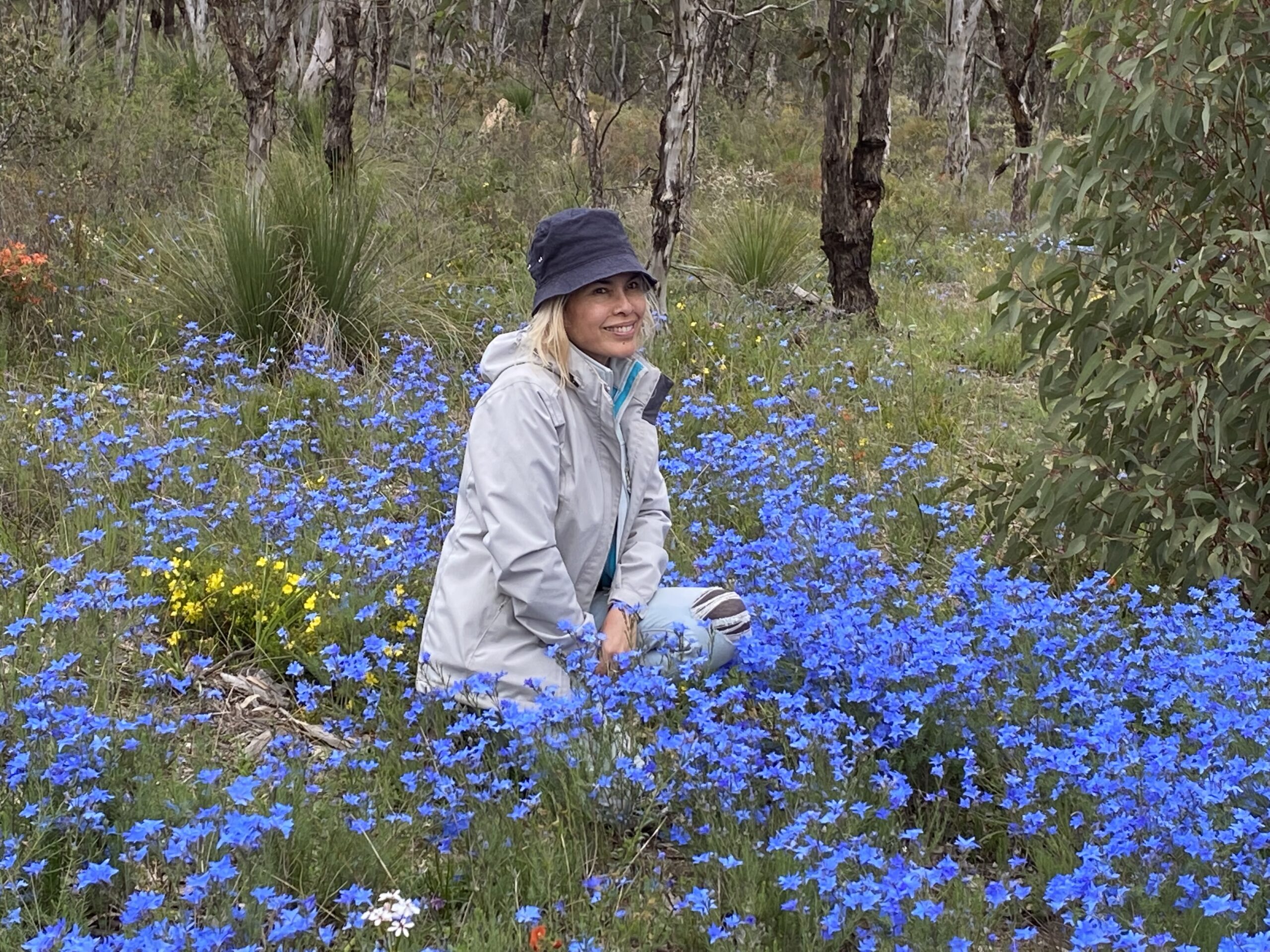 Four Day Northern Wildflower Tour