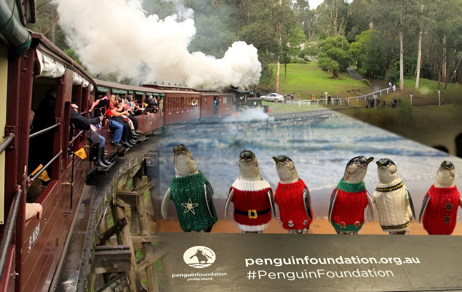 Copy of Viator – Small Bus Private Puffing Billy and Phillip Island Tours (up to 13 pax)
