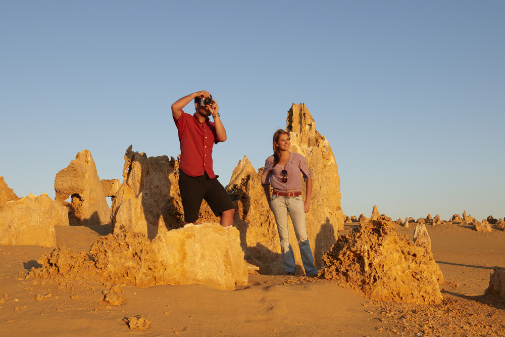 Wildlife Tours Australia: 1 Day Pinnacles Desert Lobster Tour