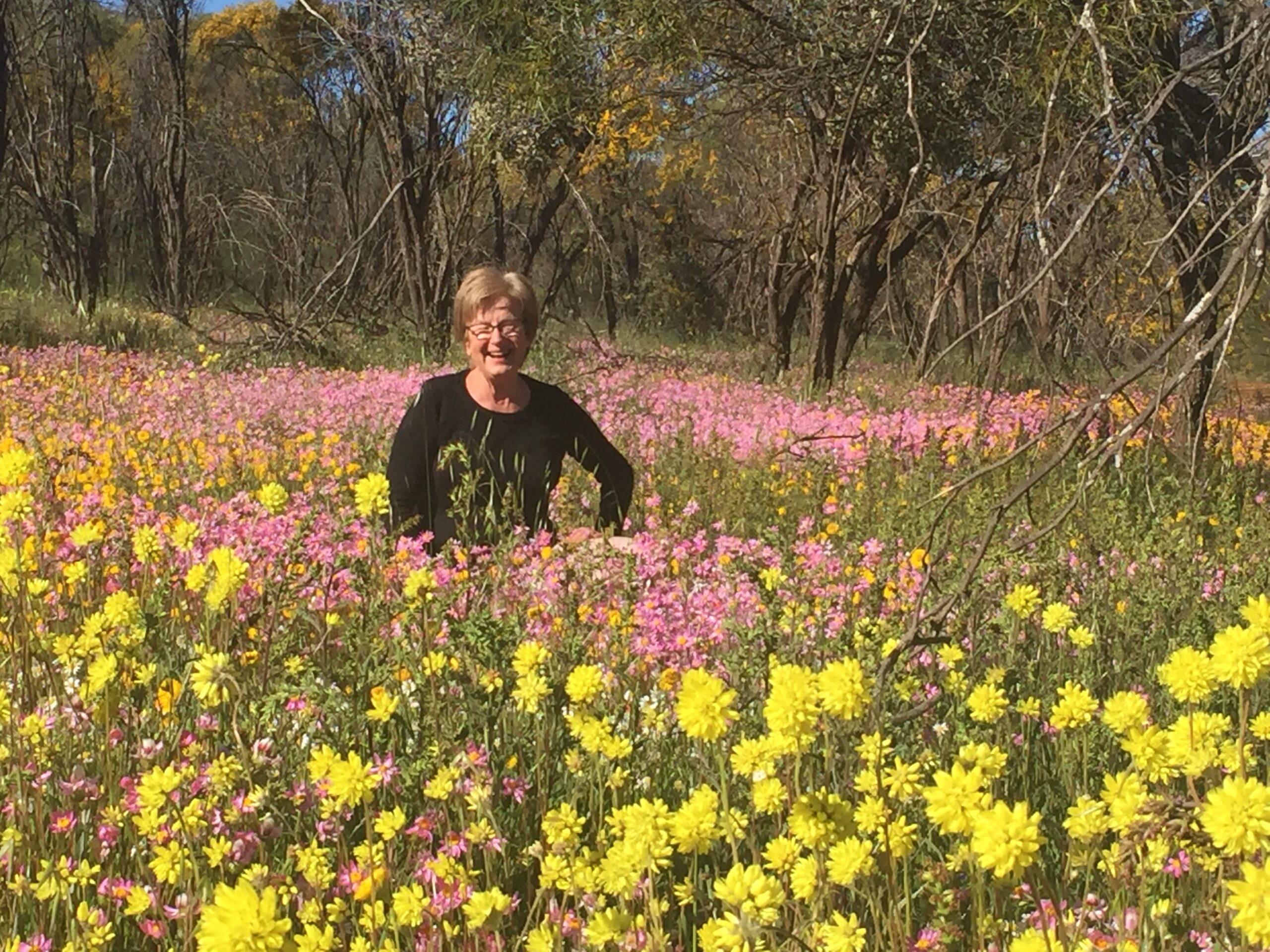 Four Day Northern Wildflower Tour