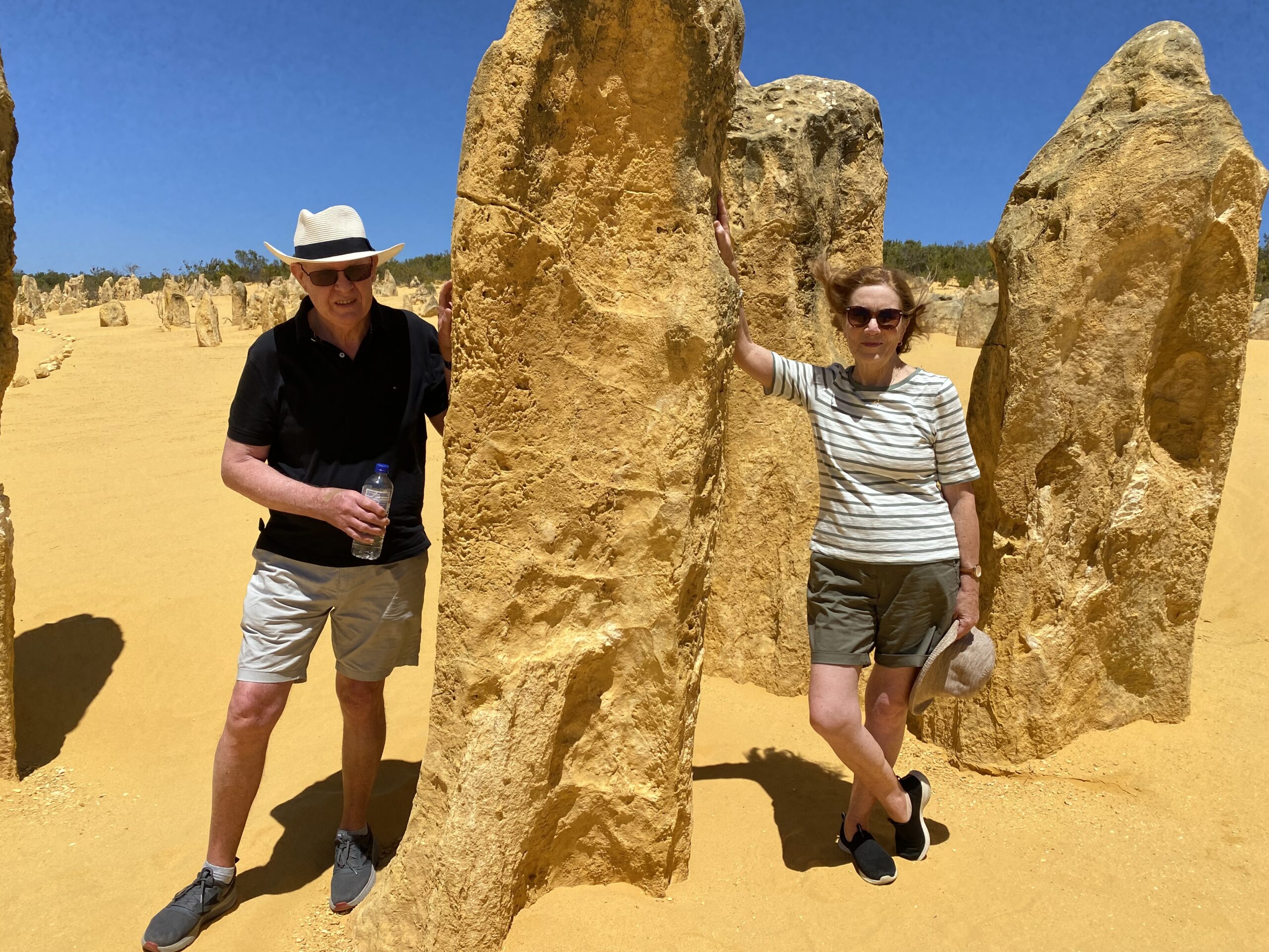 Pinnacles Day Tour