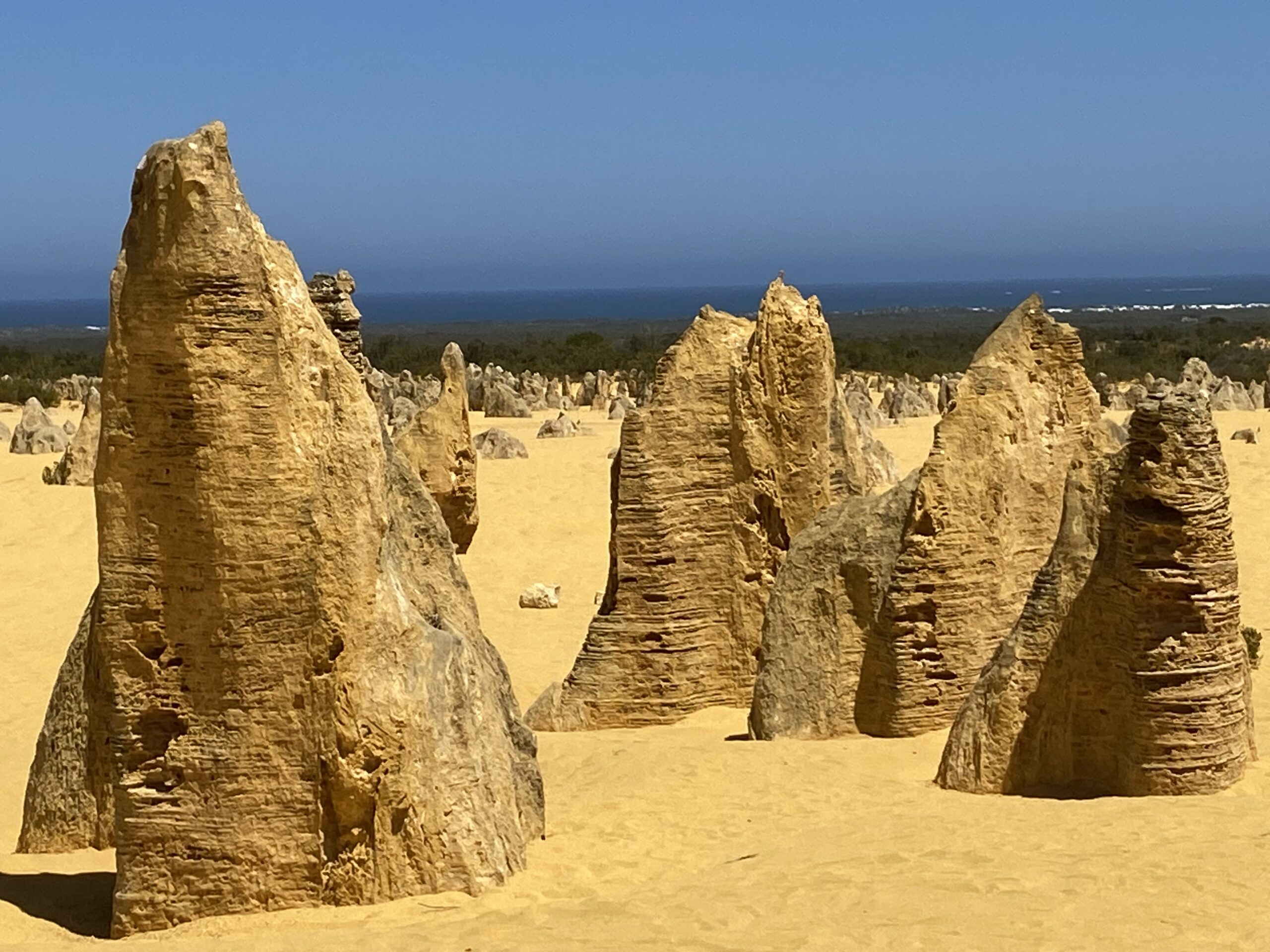 Pinnacles Day Tour