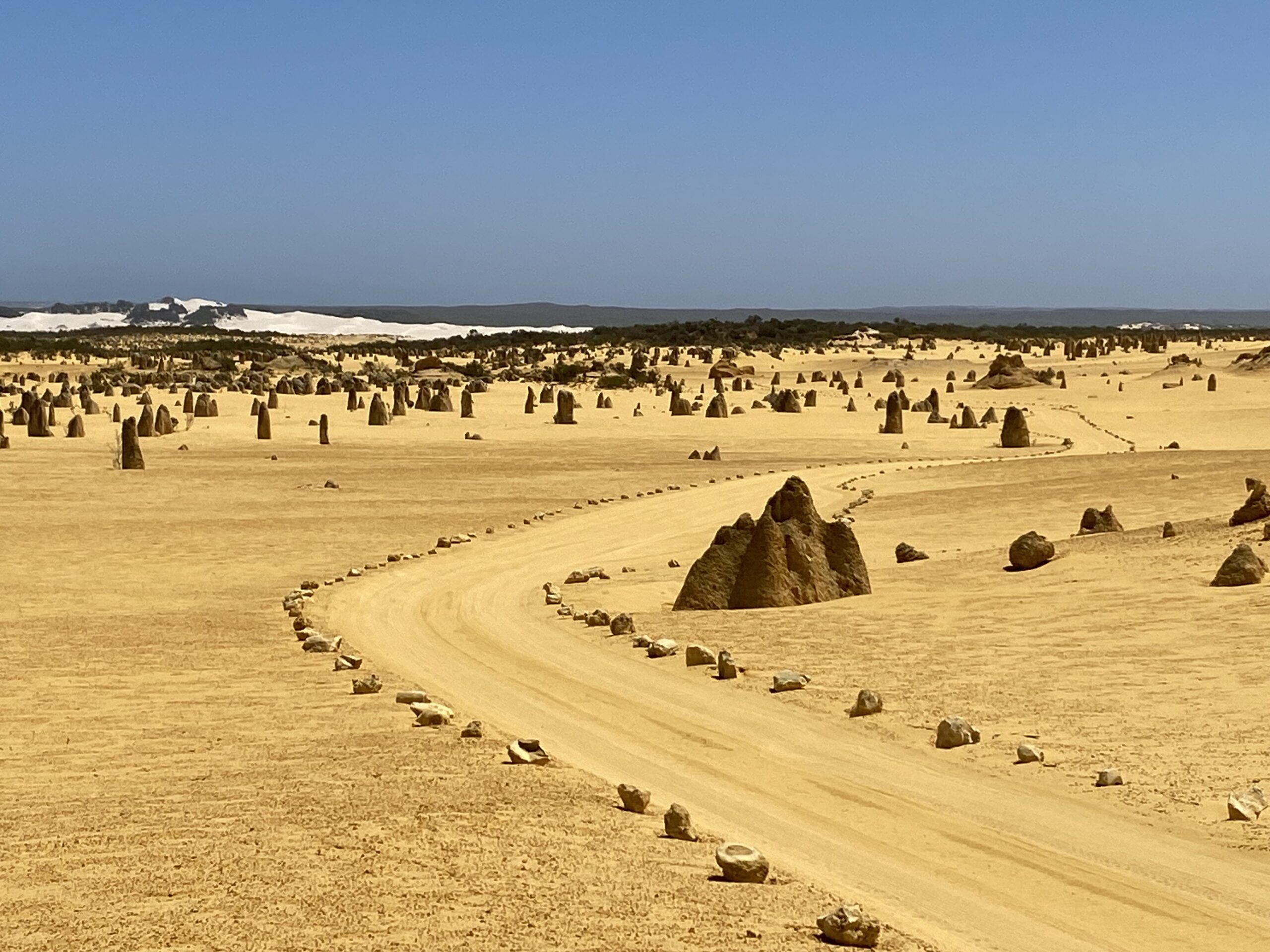 Pinnacles Day Tour