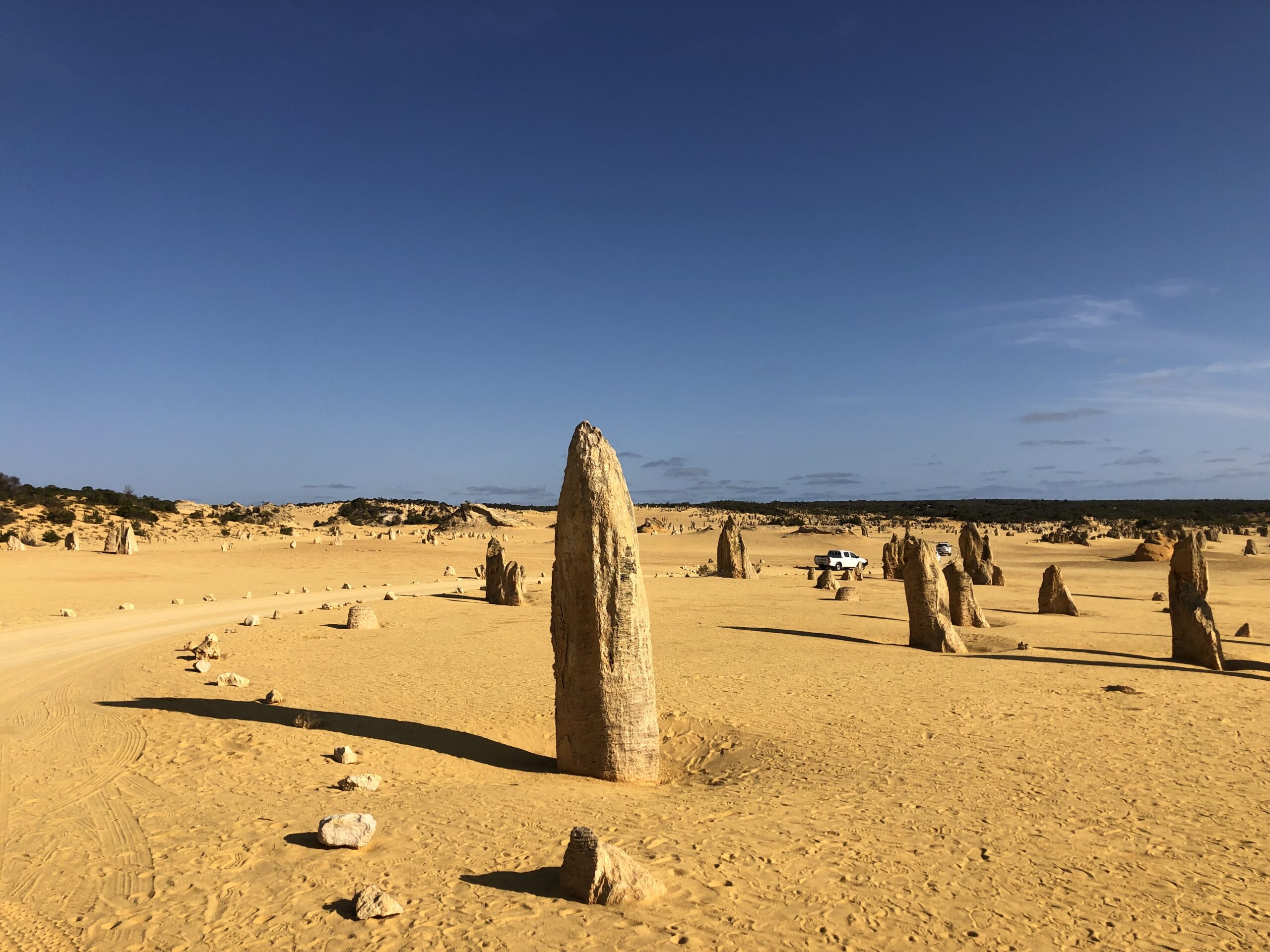 Pinnacles Day Tour