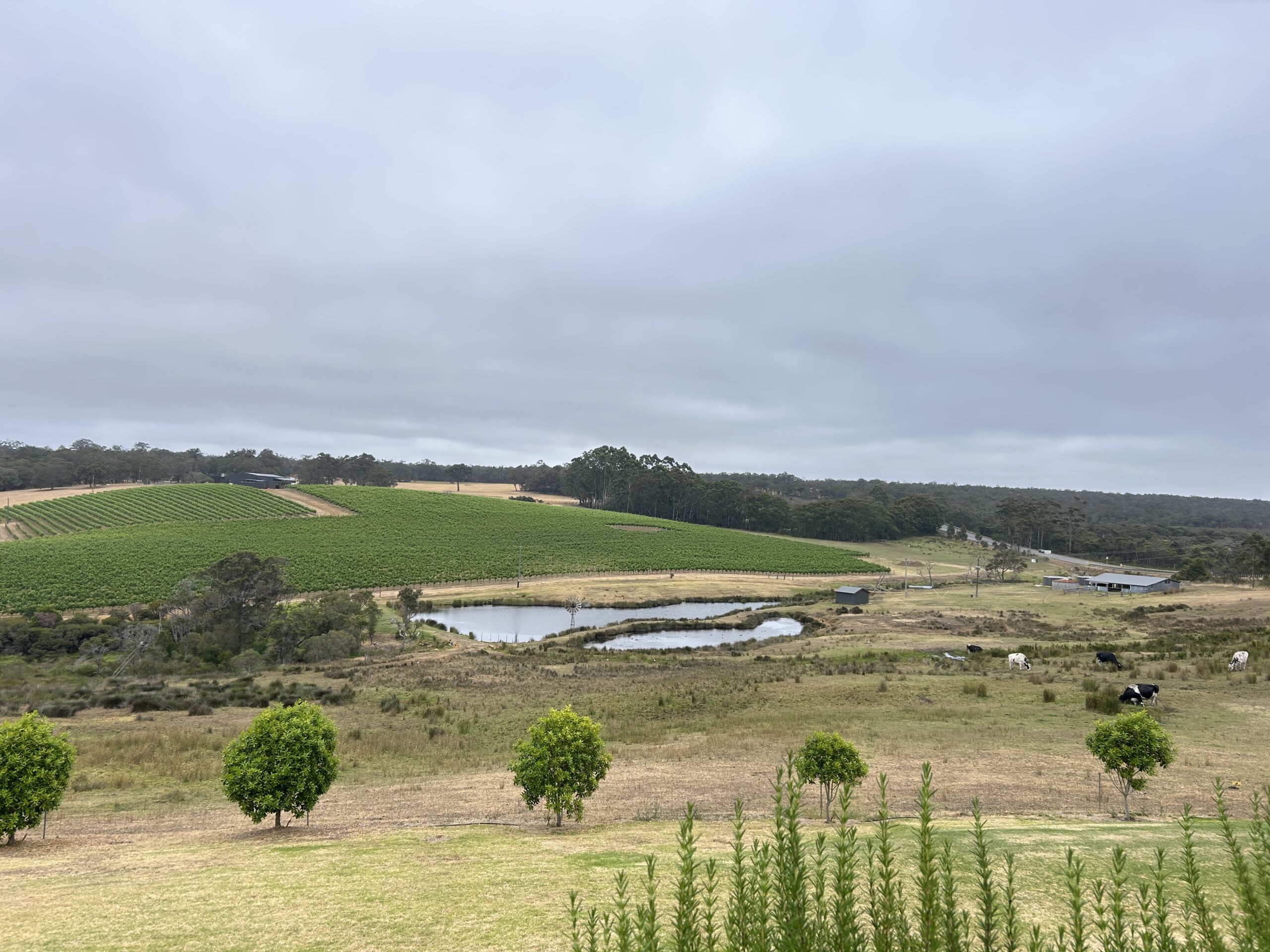 Mt Barker & Porongurup Wine Tour