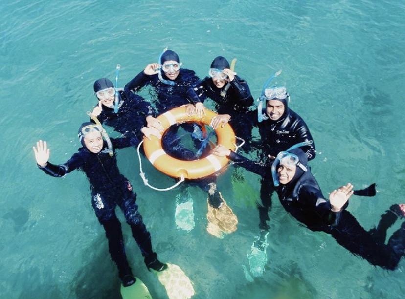 Snorkel with Sea Dragons