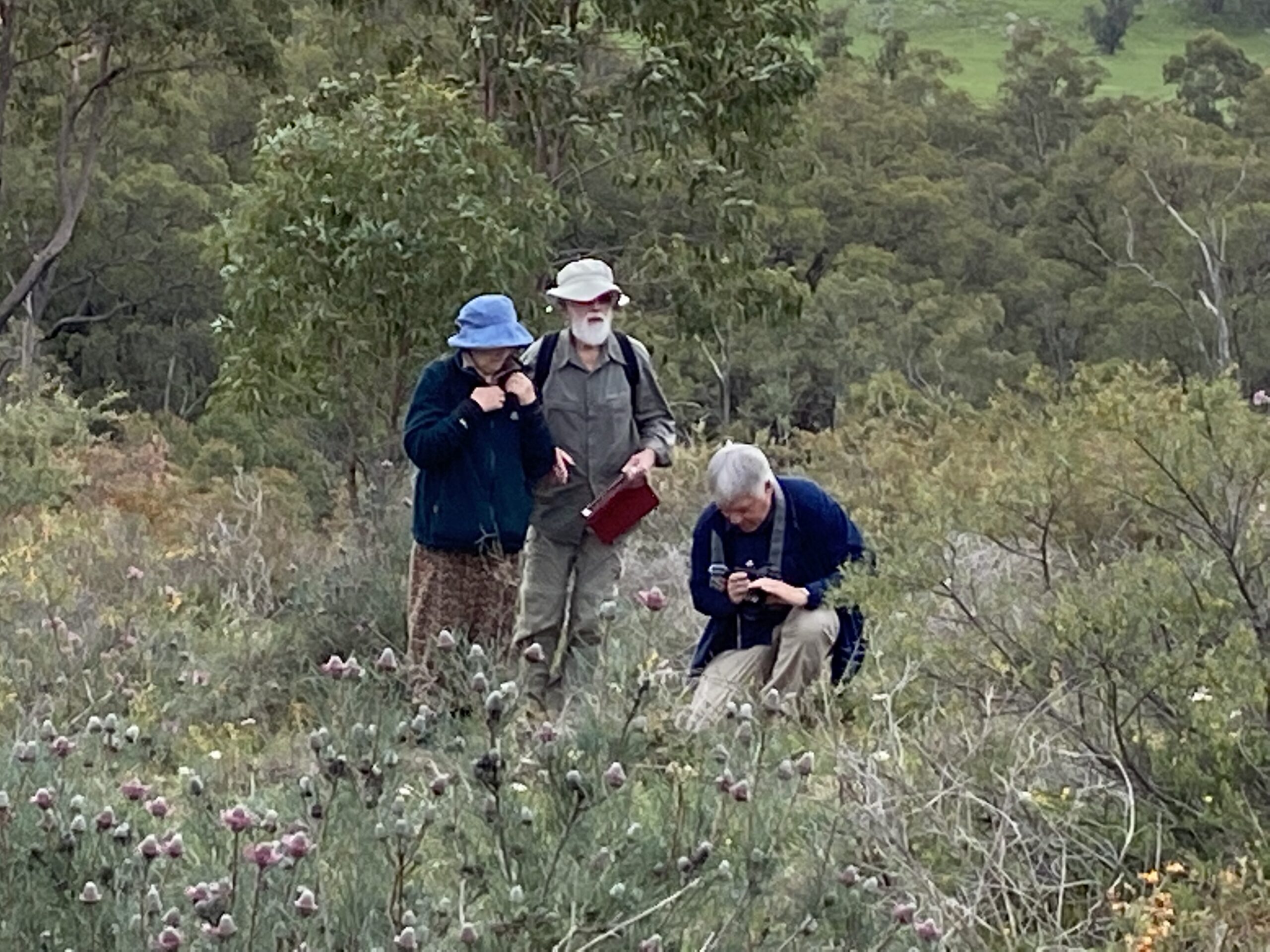 Four Day Northern Wildflower Tour