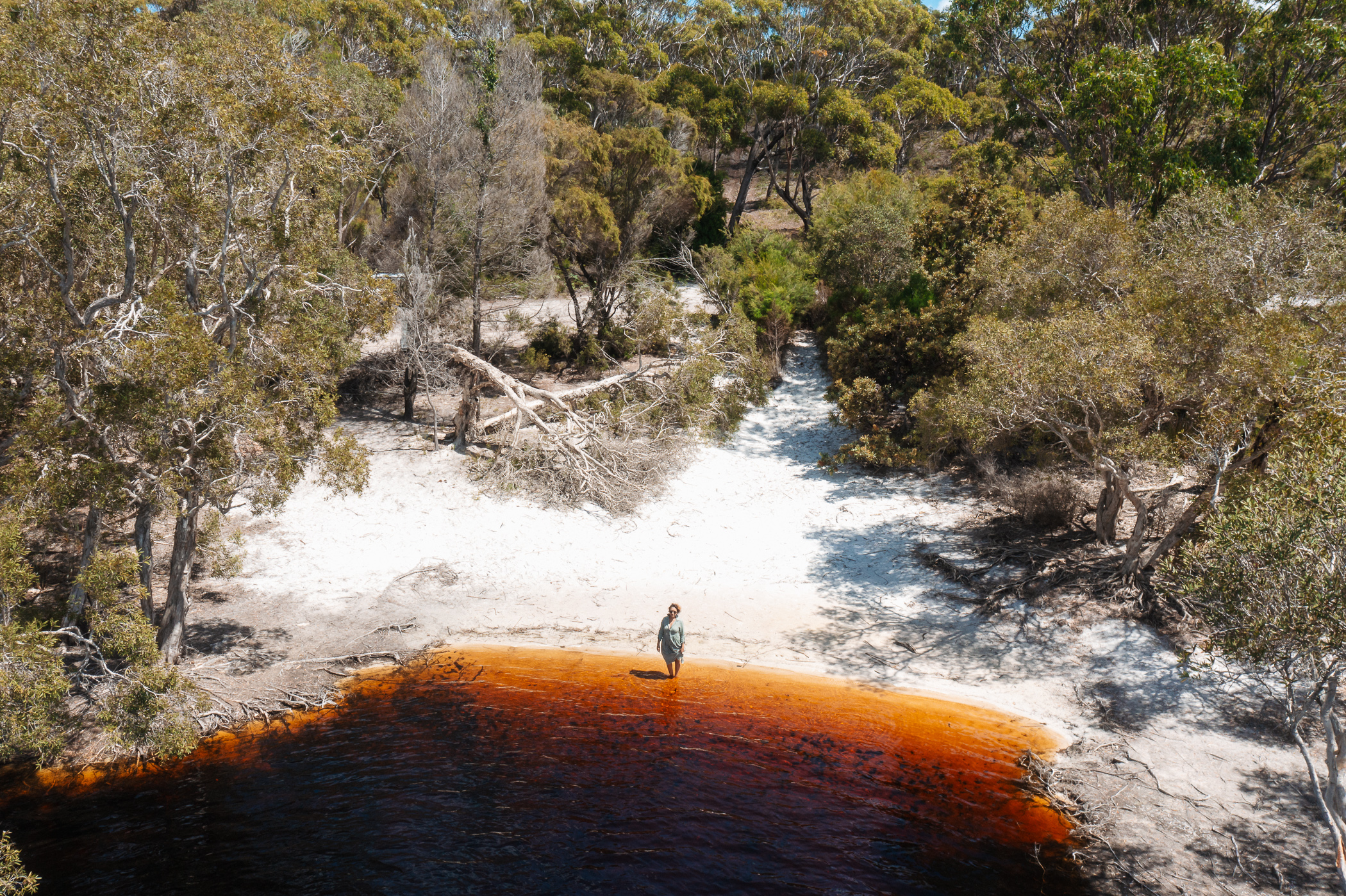 Meanjin to Minjerribah Cultural Day trip